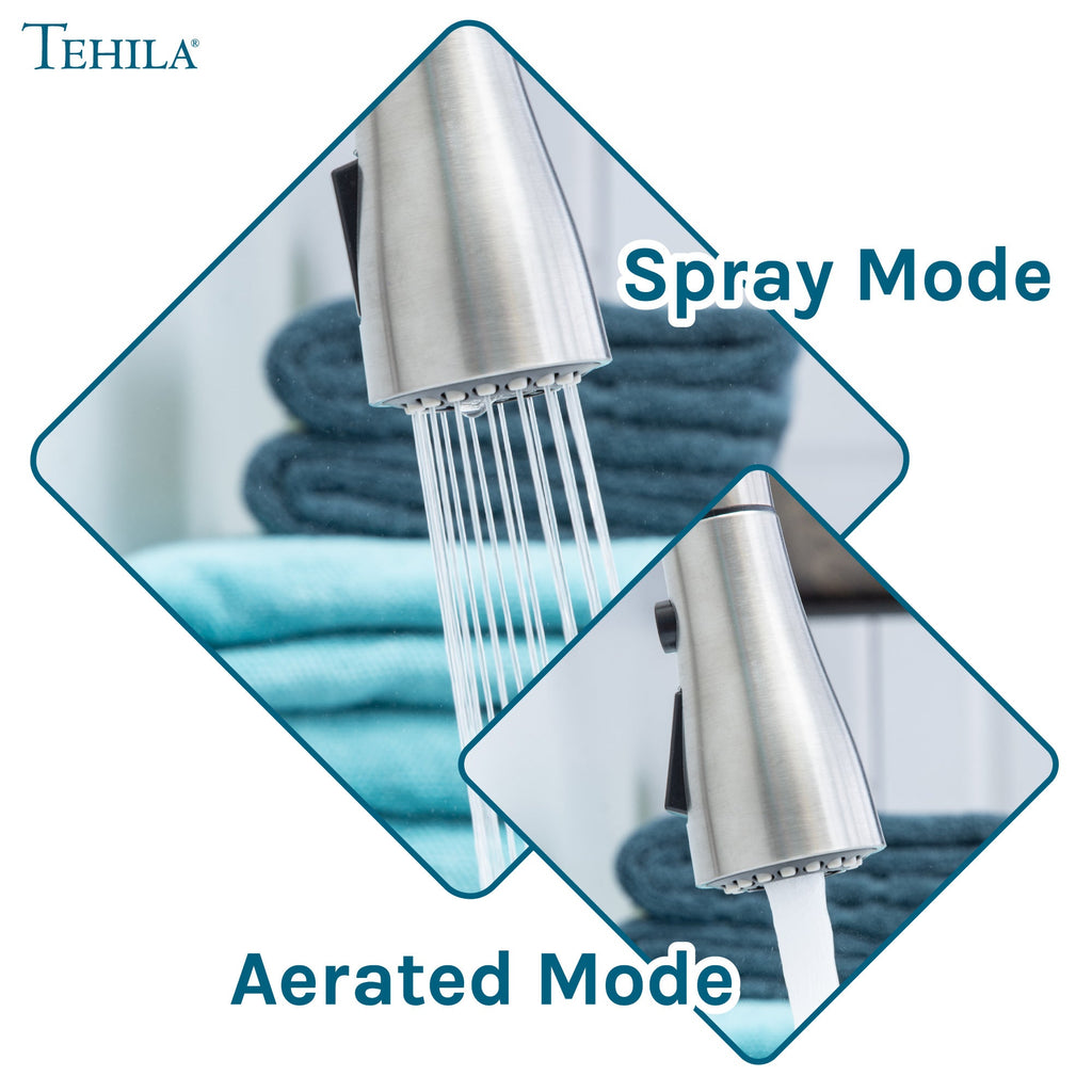 Tehila Stainless Steel Finish Low Profile Pull-Down Faucet