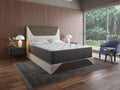 13.5" DreamFlex CoolTouch Cover Two Sided Plush King Mattress