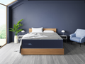 TempaGel ChillRest Lux Firm Mattress with Cooling Gel - Twin