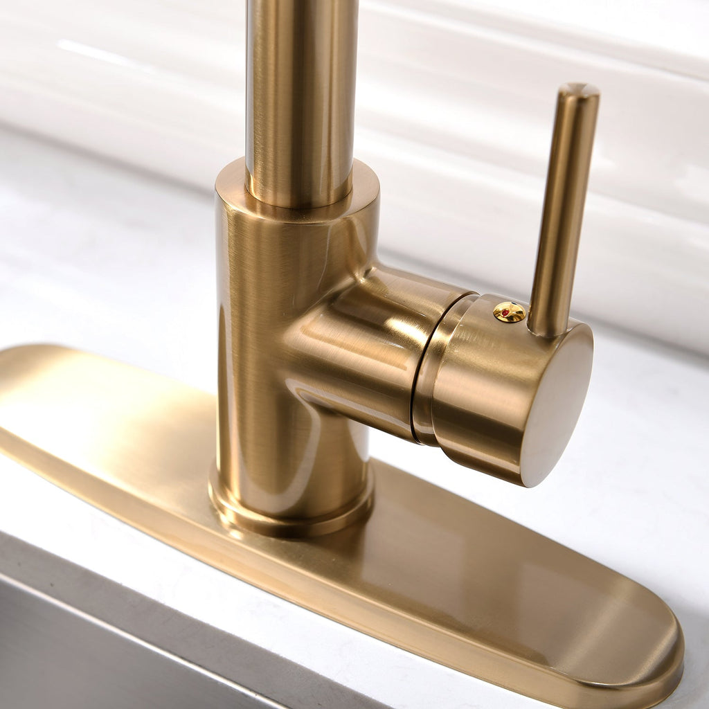 Brushed Nickel Kitchen Faucet with Pull-Down Sprayer - Brushed Nickel