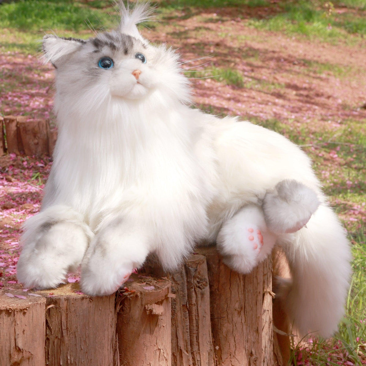 3lbs Tracy Weighted  –Relaxing Cat Toy Comfort Calming Plush