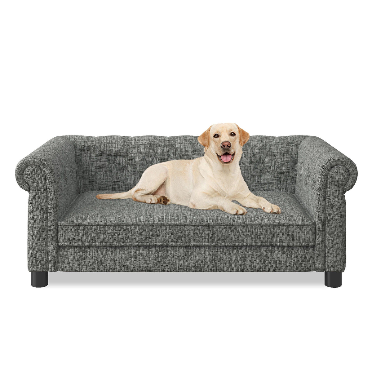 Modern Elegant Rectangle Pet Bed, Durable Elevated Dog Sofa