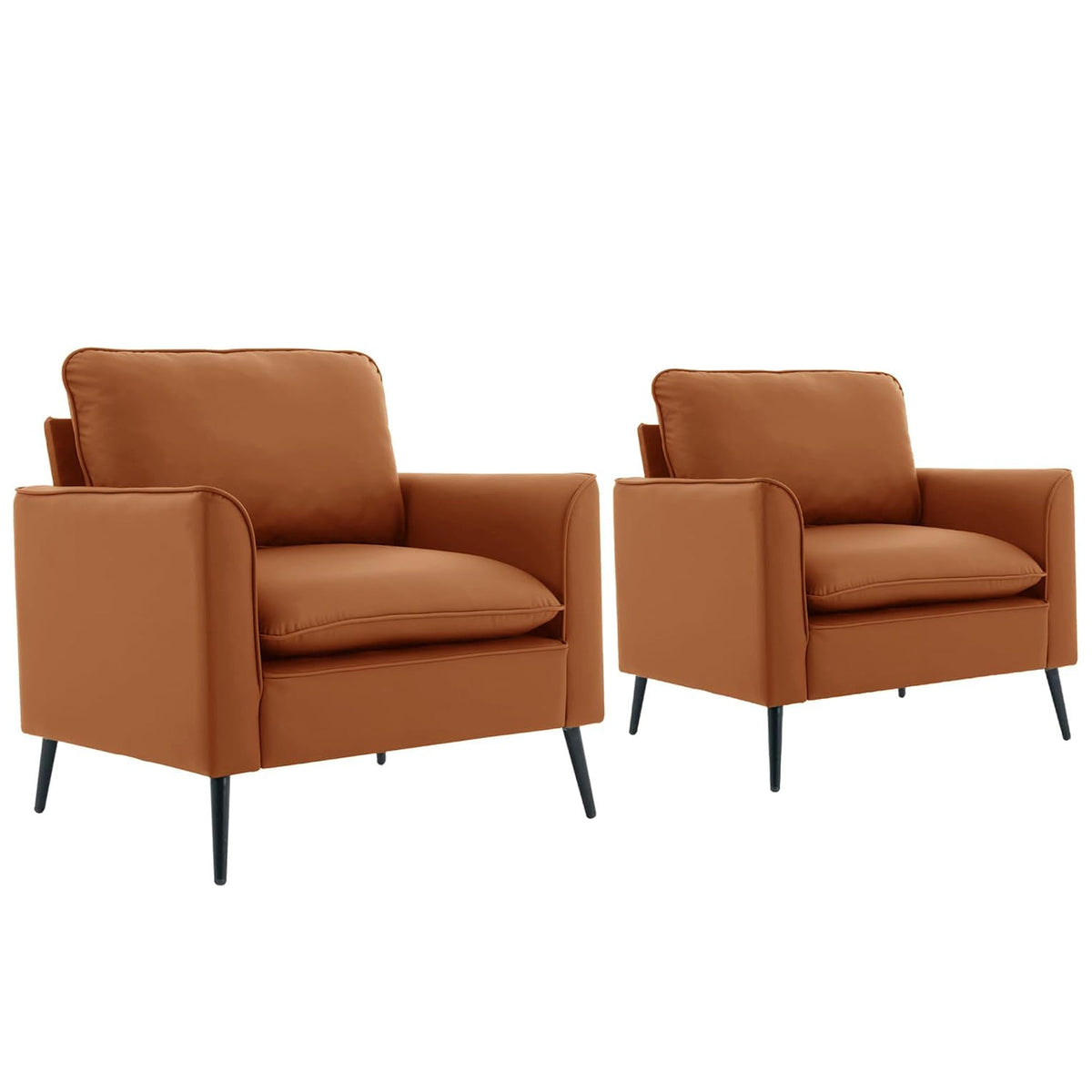 TS Cat Paw Leather Upholstered Sofa 2PC Set