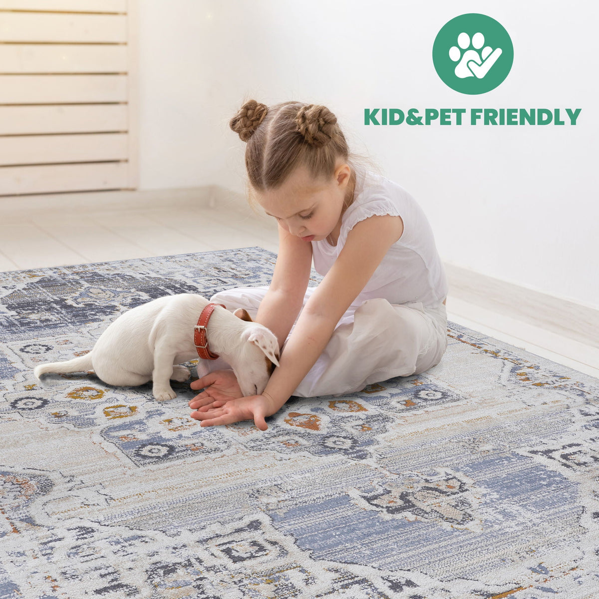 Payas Medallion Rug