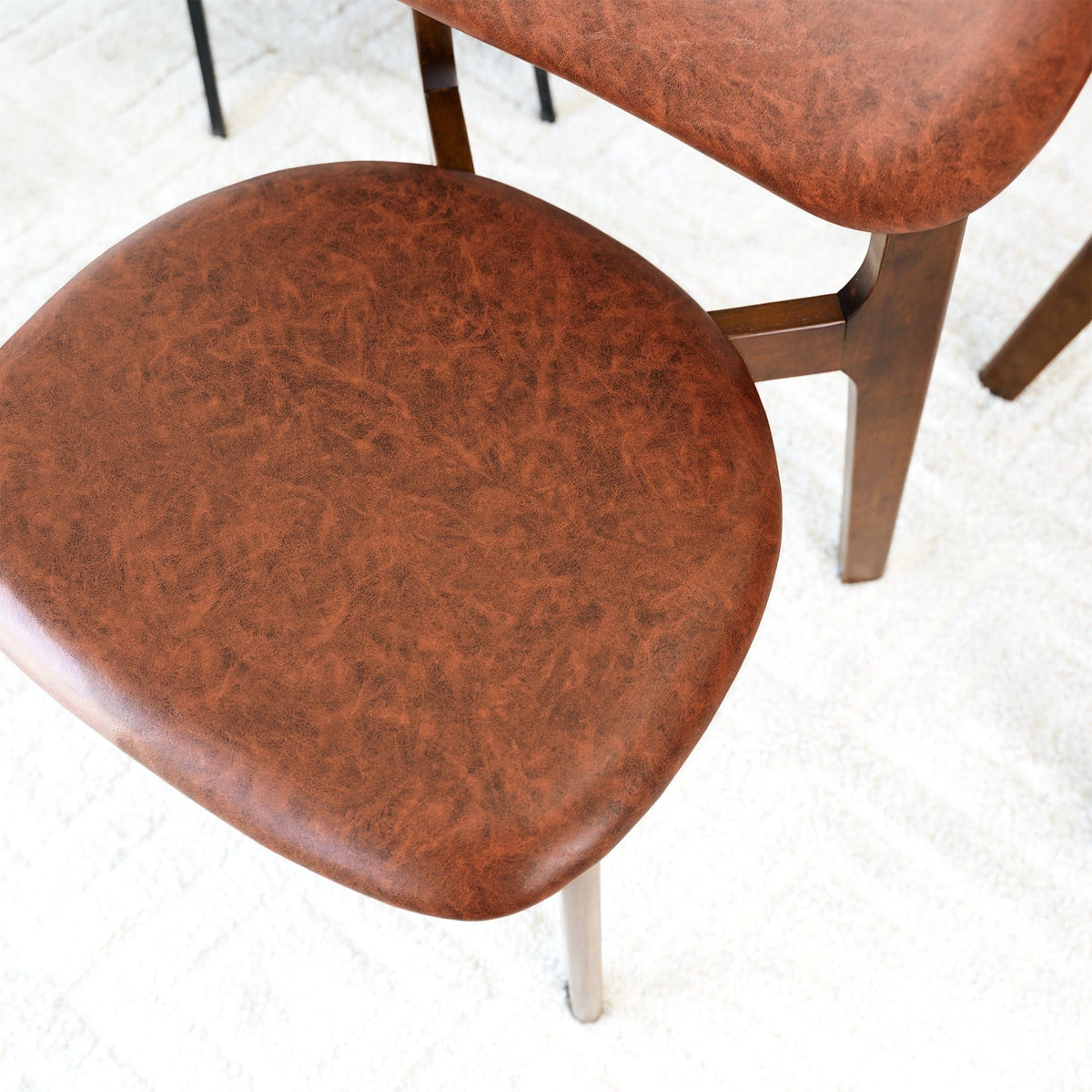 Kelsey - Stylish Dining Chair (Set of 2)