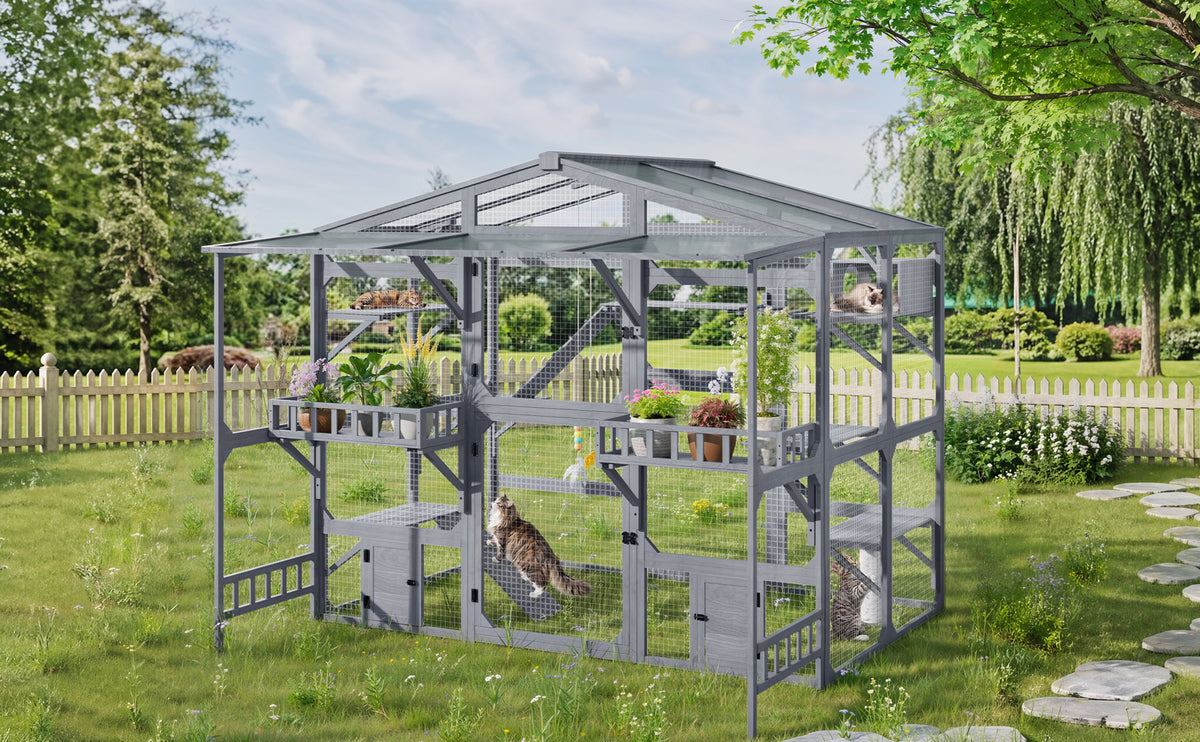 Large Outdoor Catio for Cats with Climbing Platforms - Pine