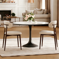 Dining Chairs Set of 2
