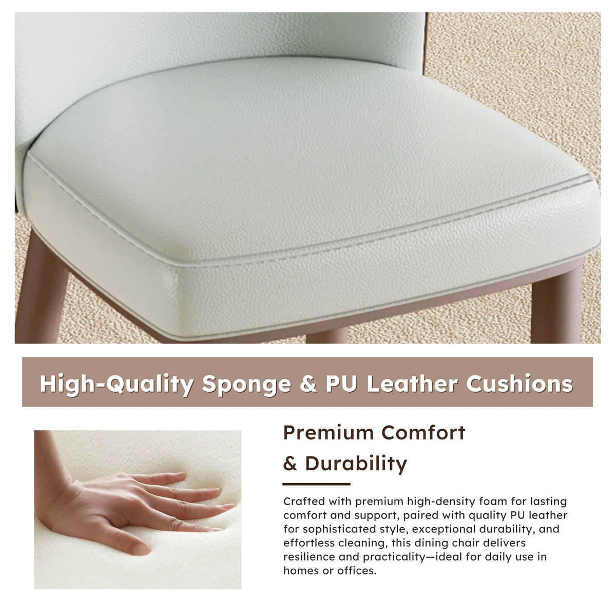 Dining Chair With Carbon Steel Legs, Comfortable Seating, (Set of 2) - White