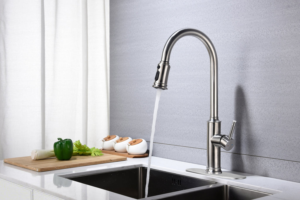 Kitchen Faucet with Pull Down Sprayer