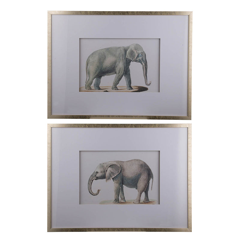 Elephant Pencil Drawings Wall Art Set with Glass Frames - Gray