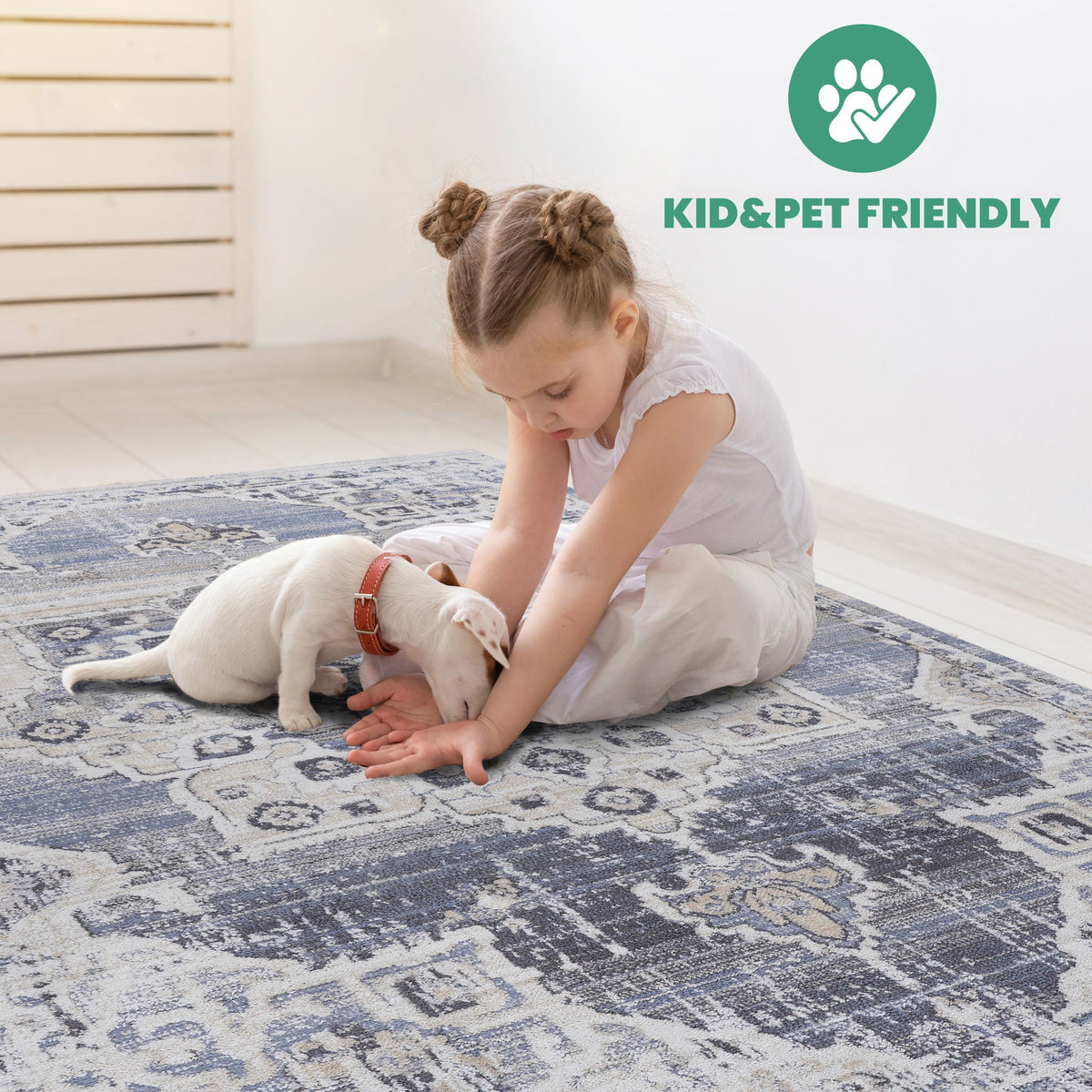 Payas Medallion Rug
