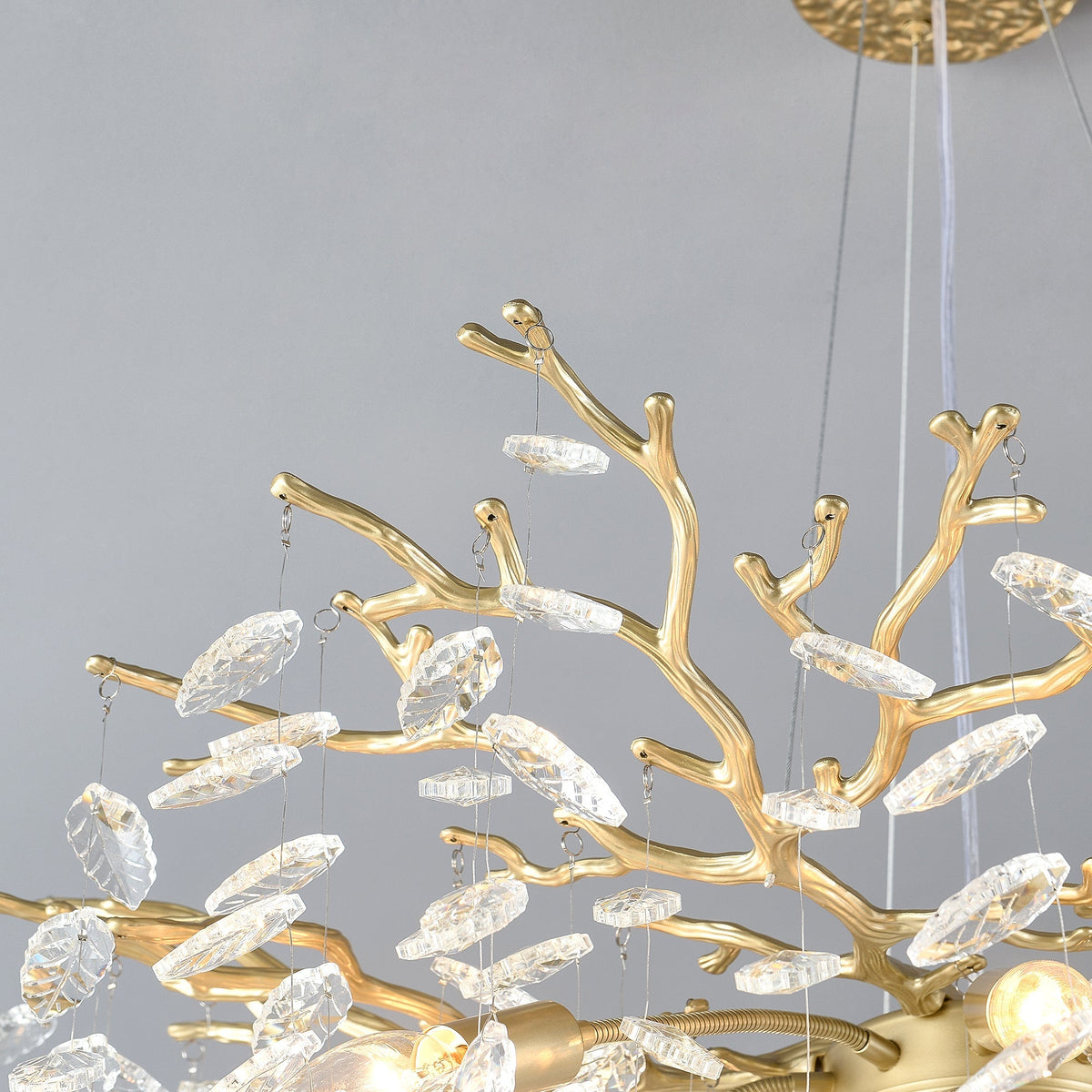 6-Light Crystal Chandelier with Gold Finish - Elegant Ceiling Lamp