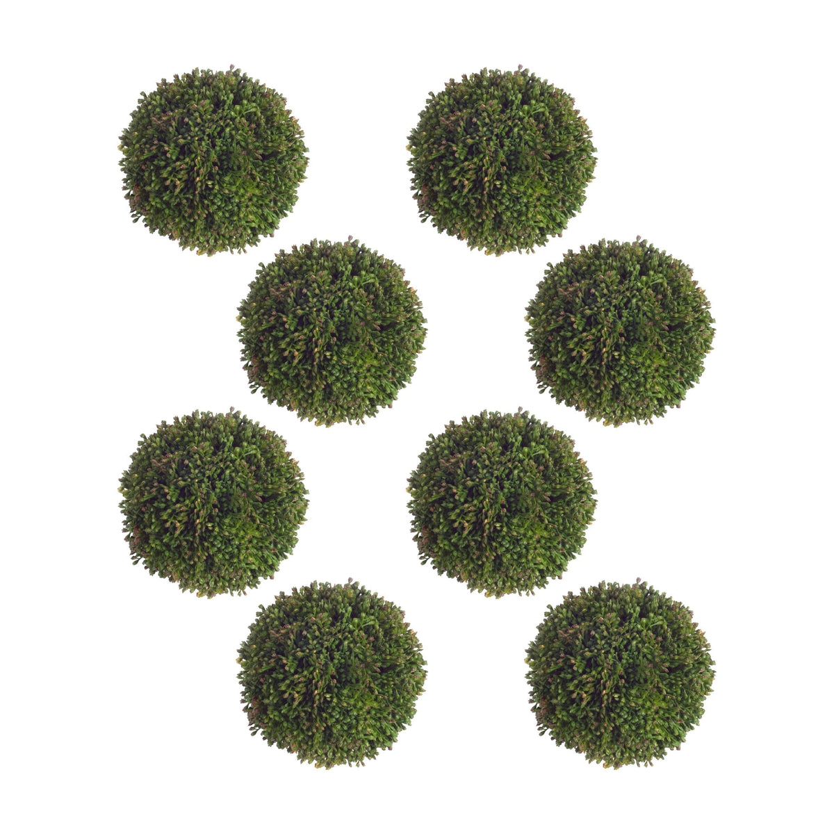 Boxwood Sedum Orb (Set of 8)