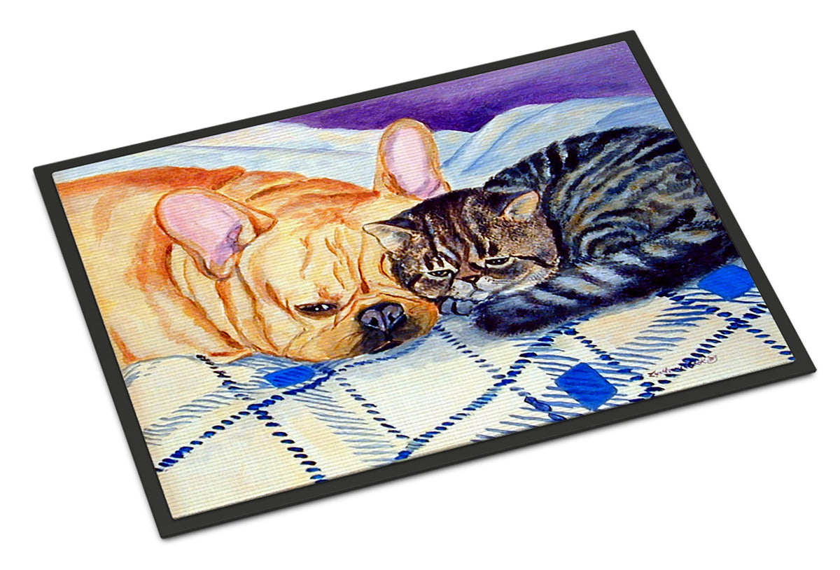 Cat Doormat Indoor Outdoor 24H X 36W Front Door Mat Rugs for Entryway, Non Slip Washable Low Pile,