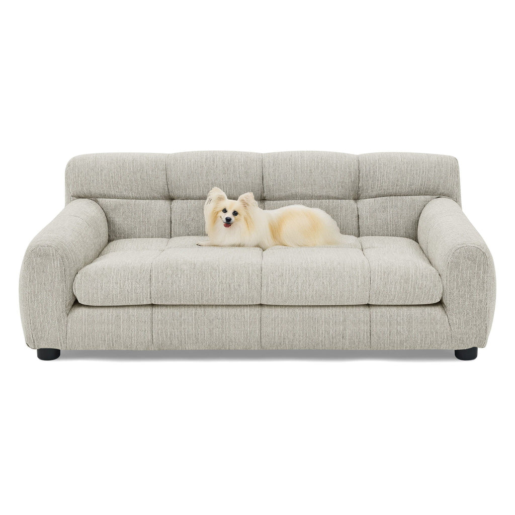 Modern Pet Sofa With Backrest And Armrests