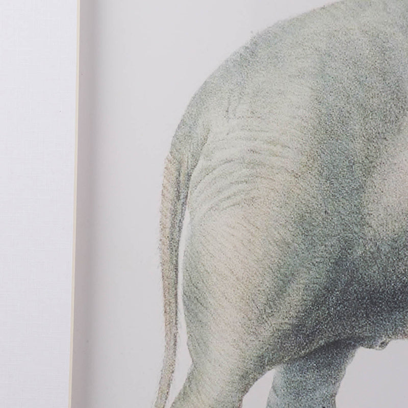 Elephant Pencil Drawings Wall Art Set with Glass Frames - Gray