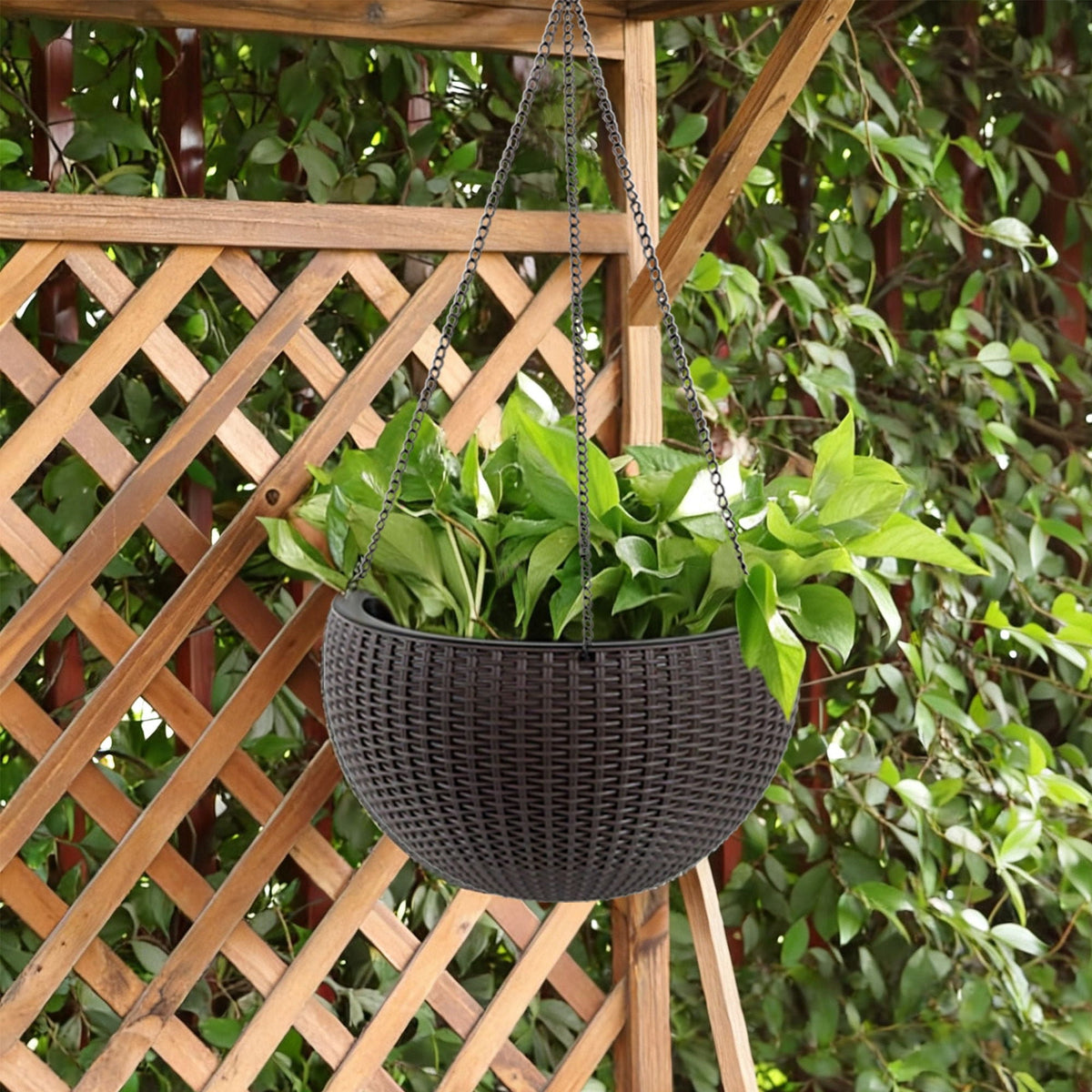 Self Watering Hanging Planter with Water Level Indicator - White, Black, or Dark Brown