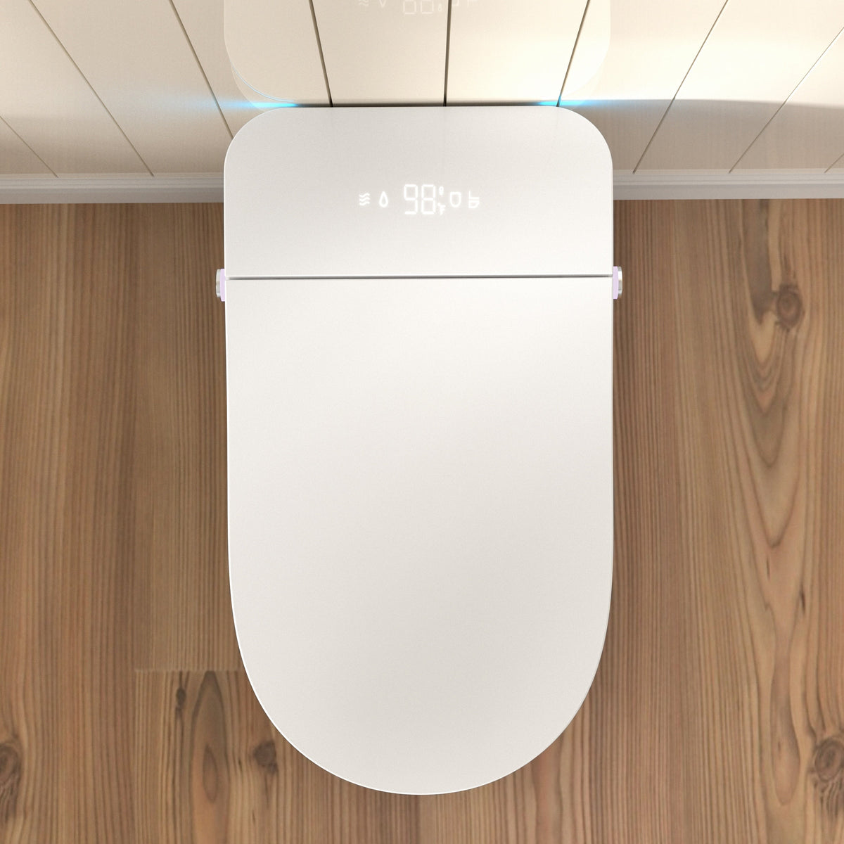 Modern Smart Toilet With Bidet and Auto Flush - Porcelain, Heated Seat