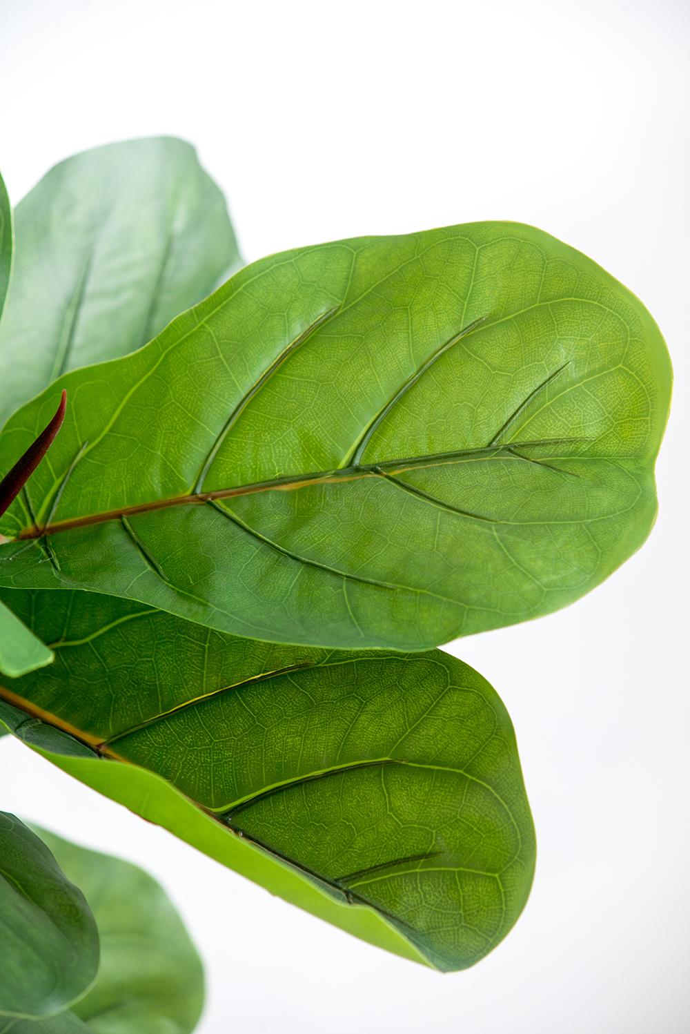 Fiddle Fig Leaf Artificial Tree with 40 Leaves - Green