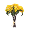 Yellow berry bundle (set of 2)