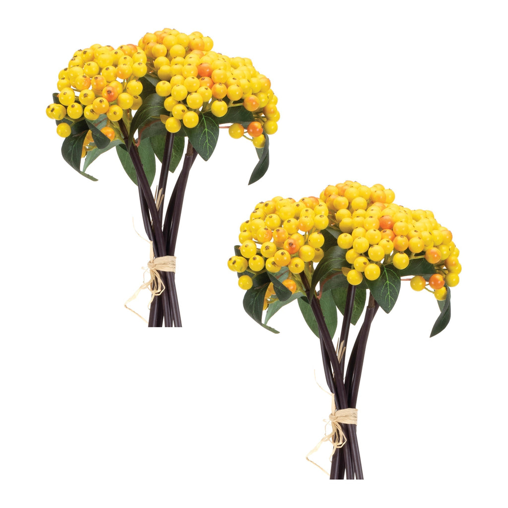 Yellow berry bundle (set of 2)