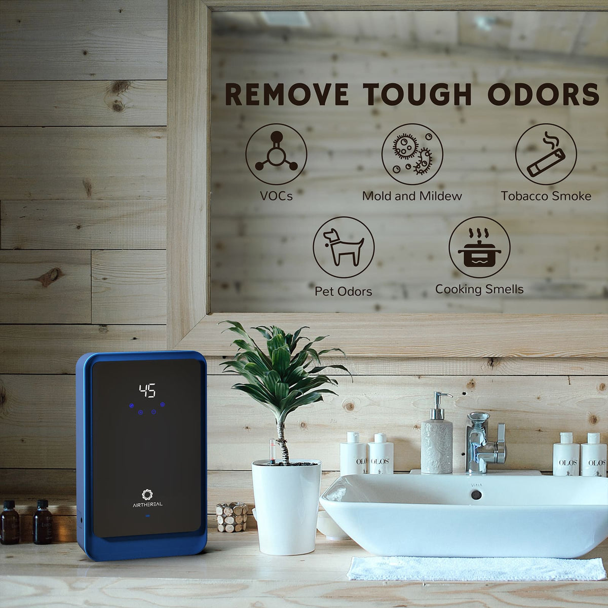 AH1000 Water Ozone Generator