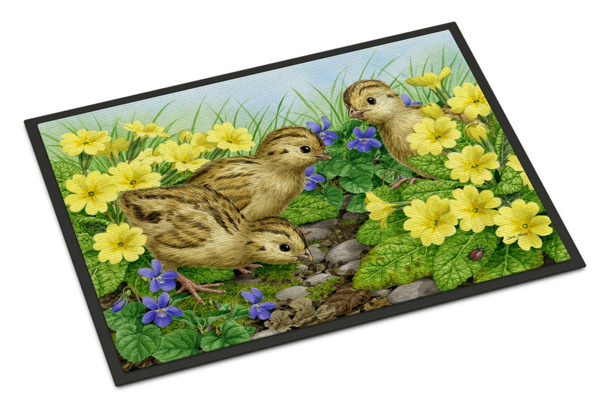Pheasant Chicks Doormat Indoor Outdoor 18H X 27W Front Door Mat Rugs for Entryway, Non Slip Washable
