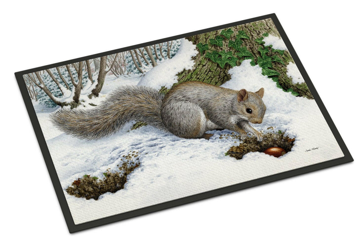 Grey Squirrel Doormat Indoor Outdoor 18H X 27W Front Door Mat Rugs for Entryway, Non Slip Washable