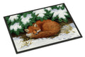 Naptime Fox Doormat Indoor Outdoor 24H X 36W Front Door Mat Rugs for Entryway, Non Slip Washable Low Pile,