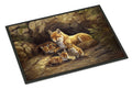 Fox Family Foxes by the Den Doormat Indoor Outdoor 24H X 36W Front Door Mat Rugs for Entryway, Non Slip Washable Low Pile,