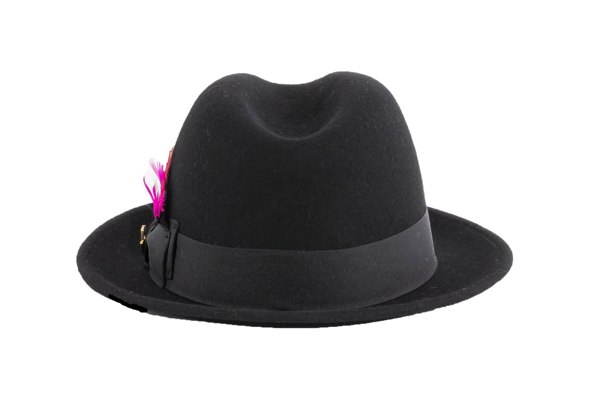 Ferrecci Brooks Soft 100% Australian Wool Felt Body With Removable Feather Black Hat Great For Travel.
