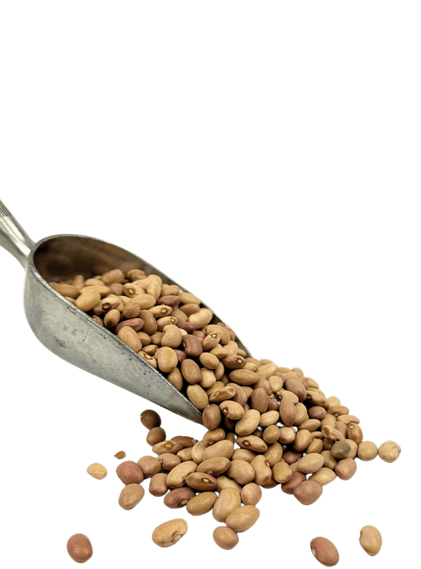 Bolita Beans