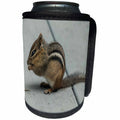 3dRose Roni Chastain Photography - Chipmunk - Can Cooler Bottle Wrap (cc_295653)