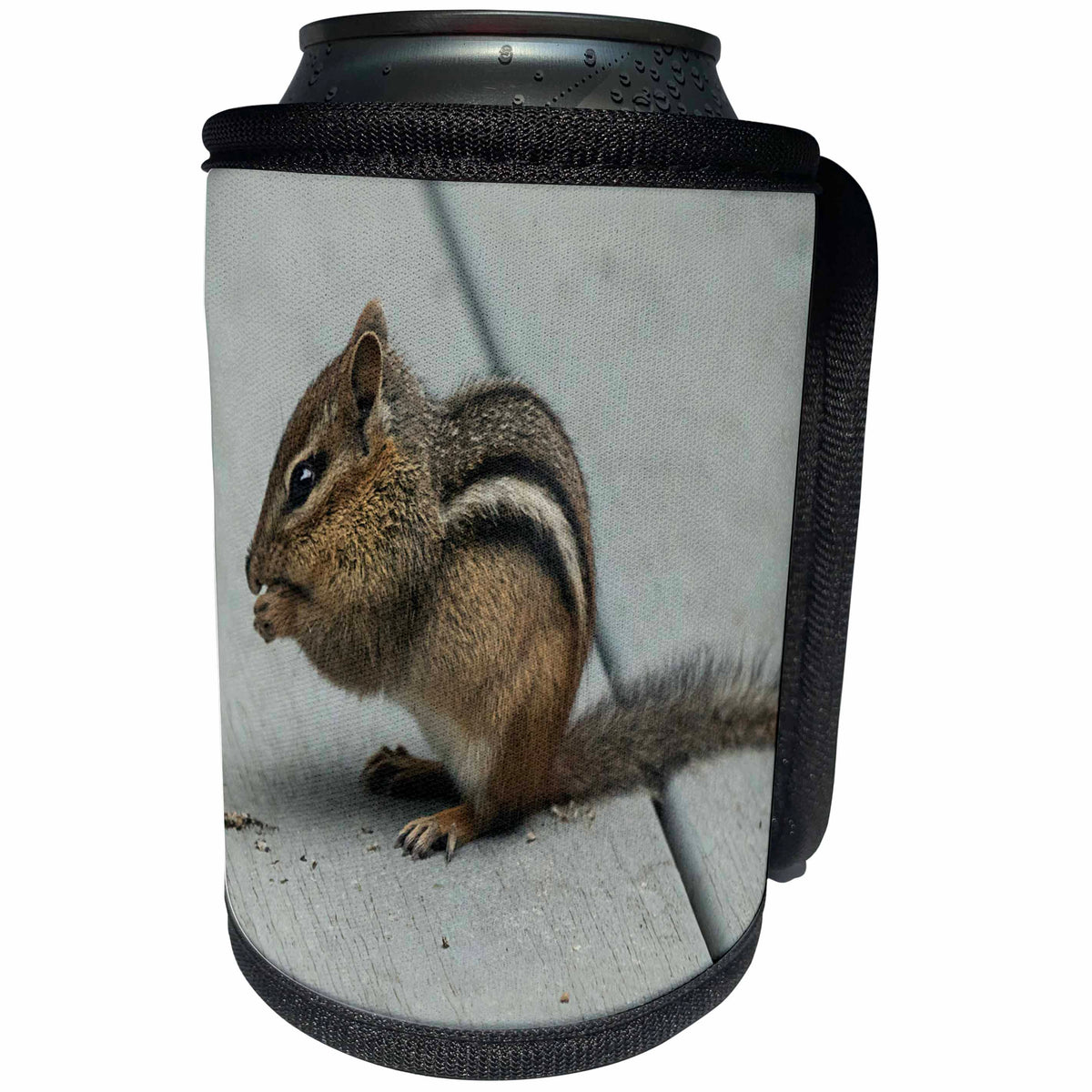 3dRose Roni Chastain Photography - Chipmunk - Can Cooler Bottle Wrap (cc_295653)