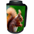 3dRose Cassie Peters Squirrels - Fox Squirrel - Can Cooler Bottle Wrap (cc_329182)