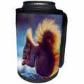3dRose Cassie Peters Squirrels - An American red squirrel - Can Cooler Bottle Wrap (cc_329183)