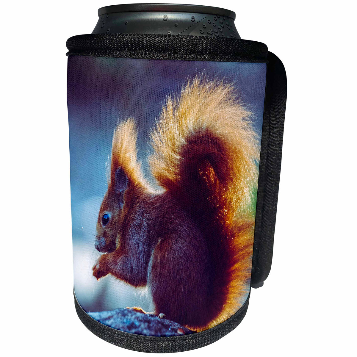3dRose Cassie Peters Squirrels - An American red squirrel - Can Cooler Bottle Wrap (cc_329183)