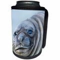 3dRose Southern elephant seal weaned pup on beach. - Can Cooler Bottle Wrap (cc_329379)