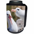 3dRose Black-browed albatross, typical courtship and greeting... - Can Cooler Bottle Wrap (cc_330859)