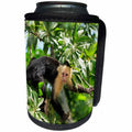 3dRose White-faced Capuchin Monkey. Roatan, Bay Islands,... - Can Cooler Bottle Wrap (cc_330863)