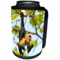 3dRose White-faced Capuchin Monkey. Roatan, Bay Islands,... - Can Cooler Bottle Wrap (cc_330865)