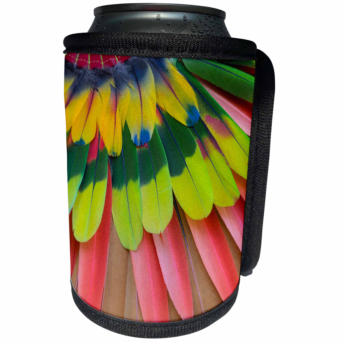 3dRose San Miguel De Allende, Mexico. Native feather... - Can Cooler Bottle Wrap (cc_330888)