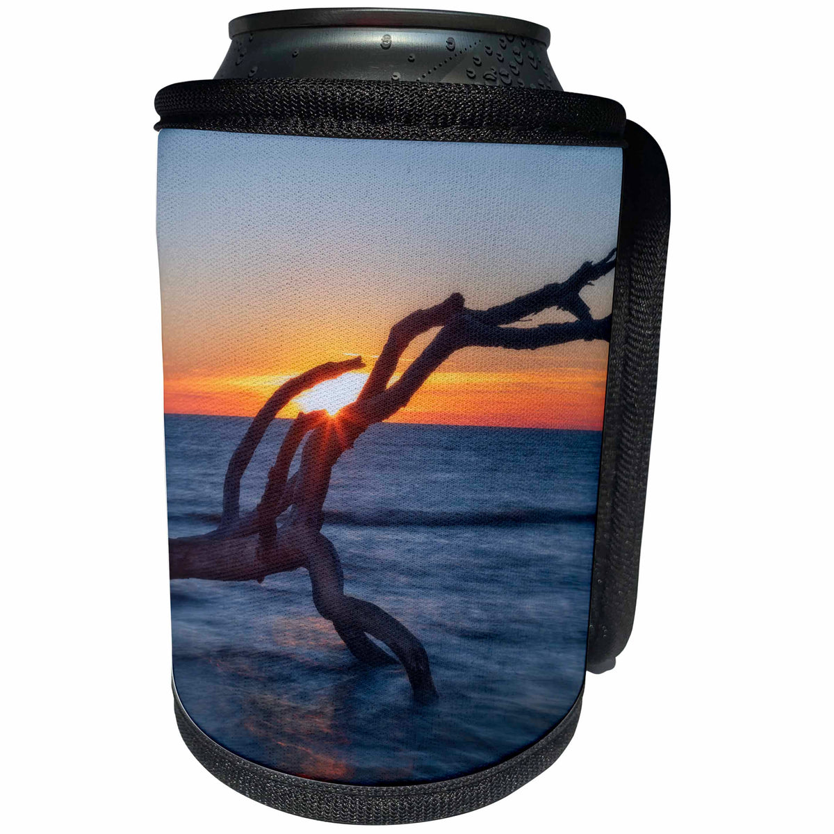 3dRose Sunstar by Driftwood - Can Cooler Bottle Wrap (cc_336071)