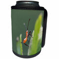 3dRose Macro photograph of a leaf footed bug nymph on a Rose... - Can Cooler Bottle Wrap (cc_337842)