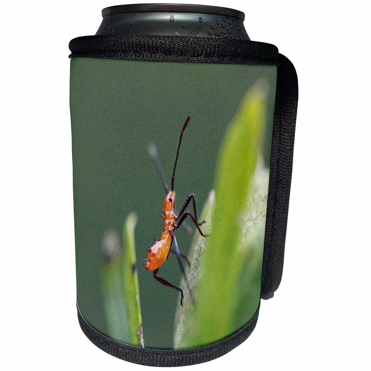 3dRose Macro photograph of a leaf footed bug nymph on a Rose... - Can Cooler Bottle Wrap (cc_337842)