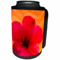 3dRose Hibiscus Flower and Tissue Paper with Light - Can Cooler Bottle Wrap (cc_345209)