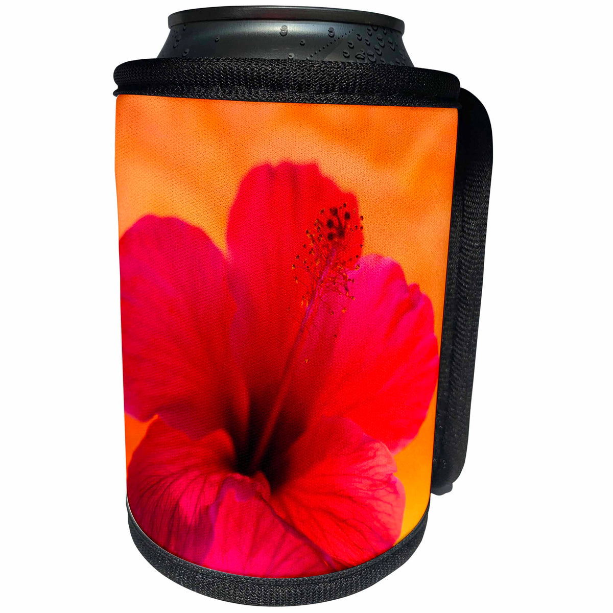 3dRose Hibiscus Flower and Tissue Paper with Light - Can Cooler Bottle Wrap (cc_345209)