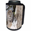 3dRose Danita Delimont - Animals - Canada lynx in winter - Can Cooler Bottle Wrap (cc_345222)