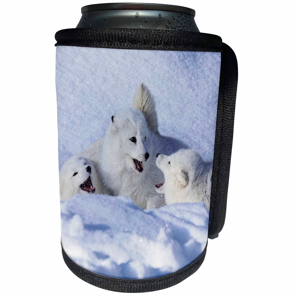 3dRose Danita Delimont - Foxes - Arctic fox in winter. - Can Cooler Bottle Wrap (cc_345227)