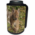 3dRose Danita Delimont - Baby Animals - Juvenile Canada Lynx - Can Cooler Bottle Wrap (cc_345238)